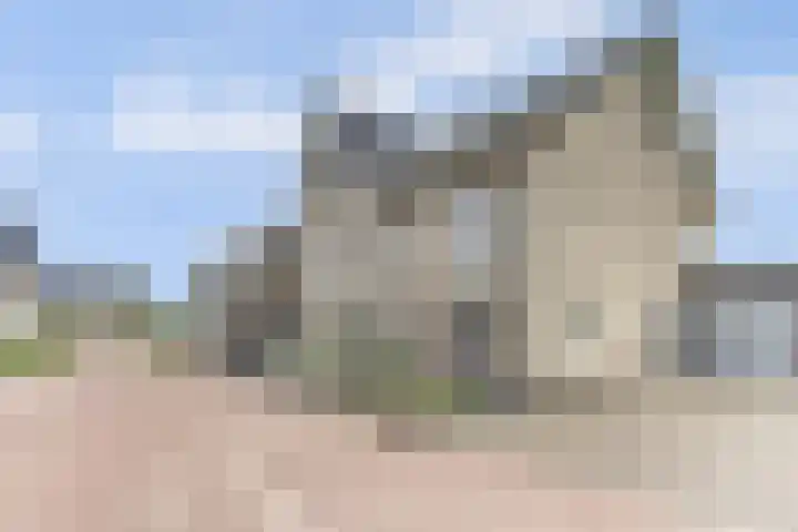 Het Penseel 7 Dronten thumbnail 42