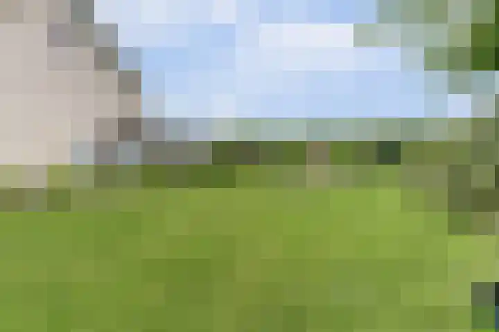 Het Penseel 7 Dronten thumbnail 43