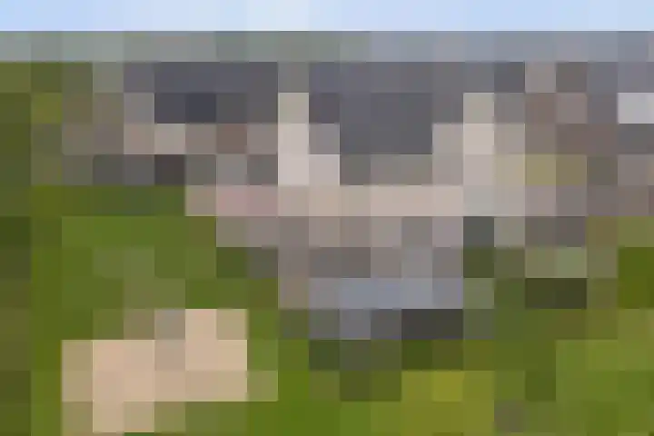 Het Penseel 7 Dronten thumbnail 44