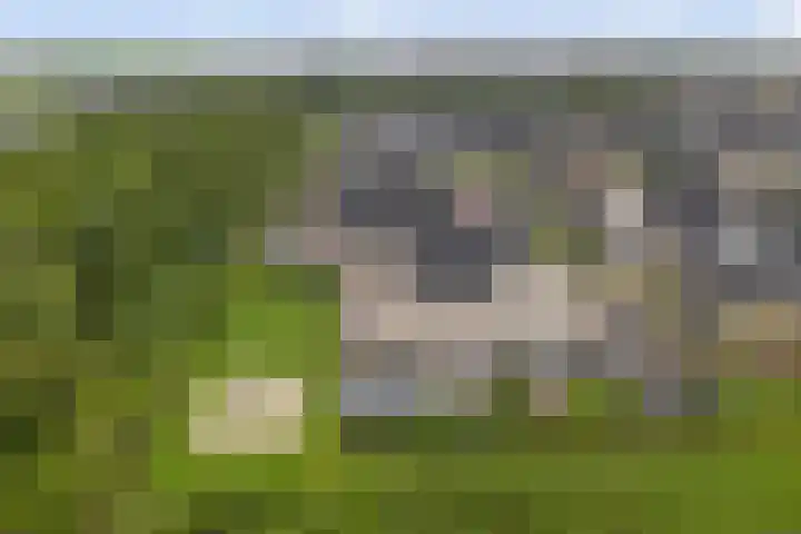 Het Penseel 7 Dronten thumbnail 45