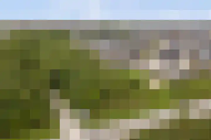 Het Penseel 7 Dronten thumbnail 46