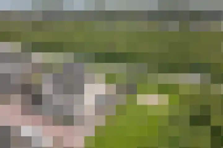 Het Penseel 7 Dronten thumbnail 47