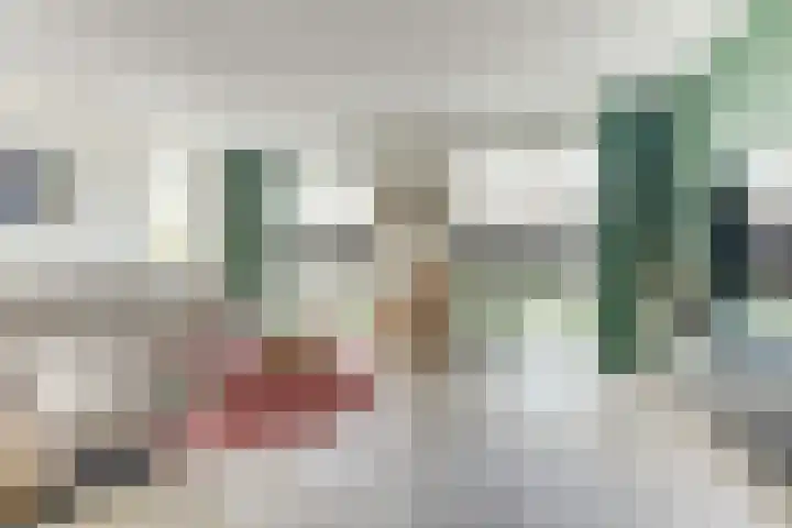 Het Penseel 7 Dronten thumbnail 5