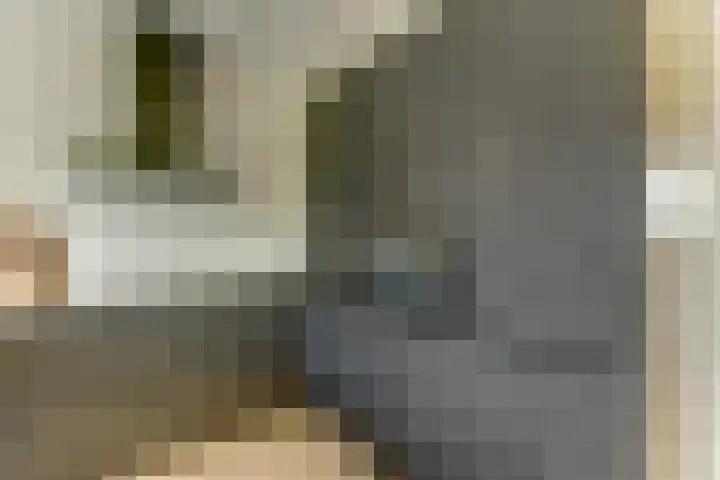 Het Penseel 7 Dronten thumbnail 9