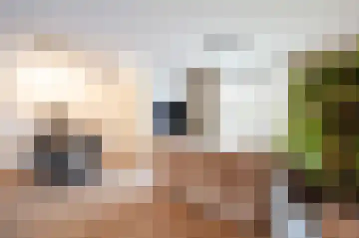 Het Penseel 78 Dronten thumbnail 10