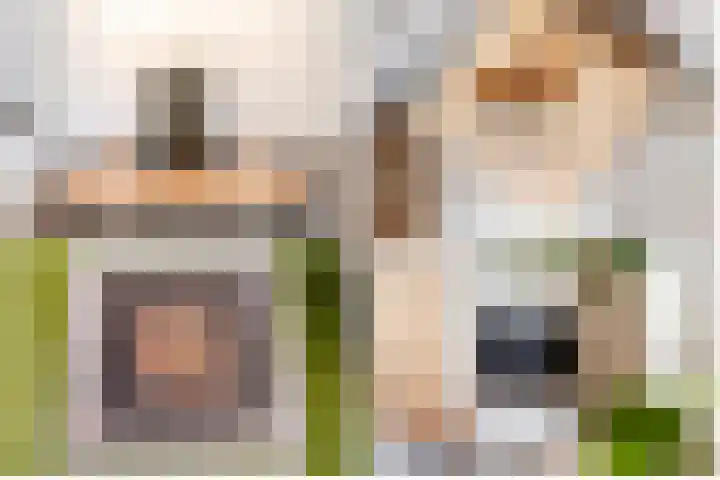 Het Penseel 78 Dronten thumbnail 11