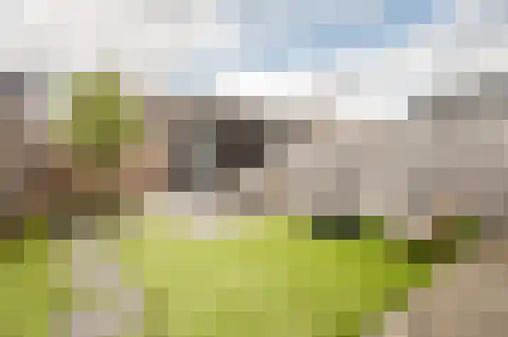 Het Penseel 78 Dronten thumbnail 28