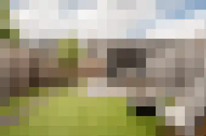 Het Penseel 78 Dronten thumbnail 29