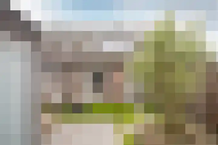 Het Penseel 78 Dronten thumbnail 30