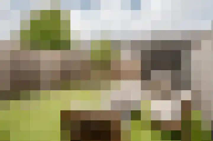 Het Penseel 78 Dronten thumbnail 31
