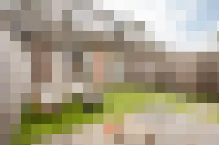Het Penseel 78 Dronten thumbnail 32