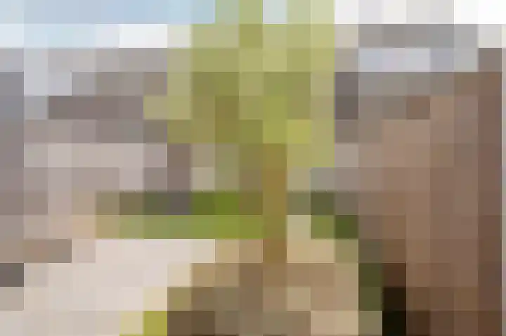 Het Penseel 78 Dronten thumbnail 33