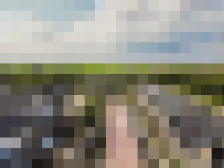 Het Penseel 78 Dronten thumbnail 39