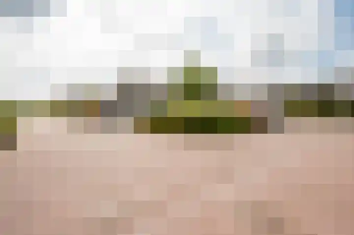 Het Penseel 78 Dronten thumbnail 40