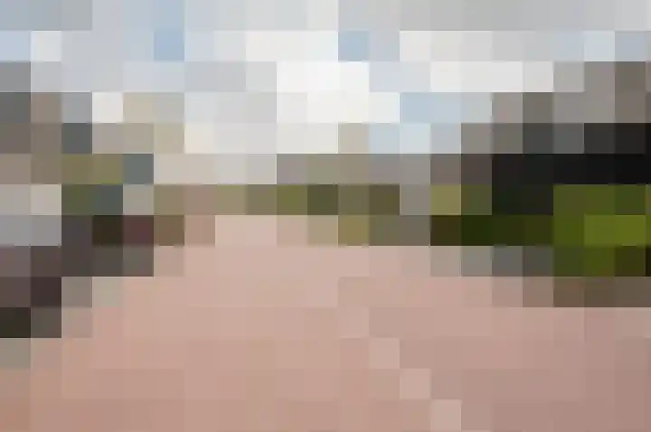 Het Penseel 78 Dronten thumbnail 41