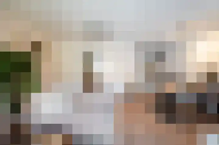 Het Penseel 78 Dronten thumbnail 8