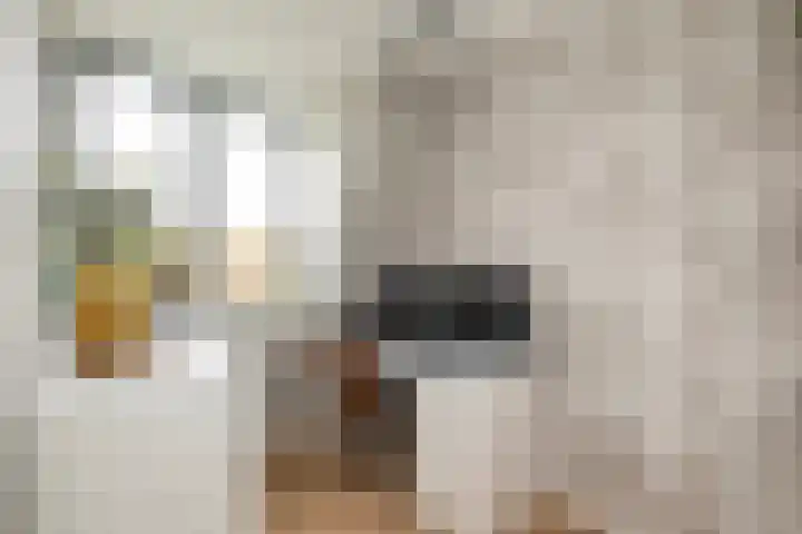 Het Penseel 79 Dronten thumbnail 15