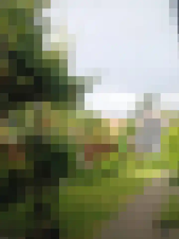 Het Penseel 79 Dronten thumbnail 18