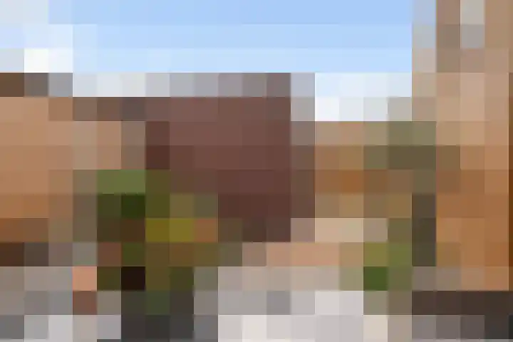 Het Penseel 79 Dronten thumbnail 18