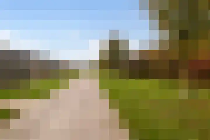 Het Penseel 79 Dronten foto 2