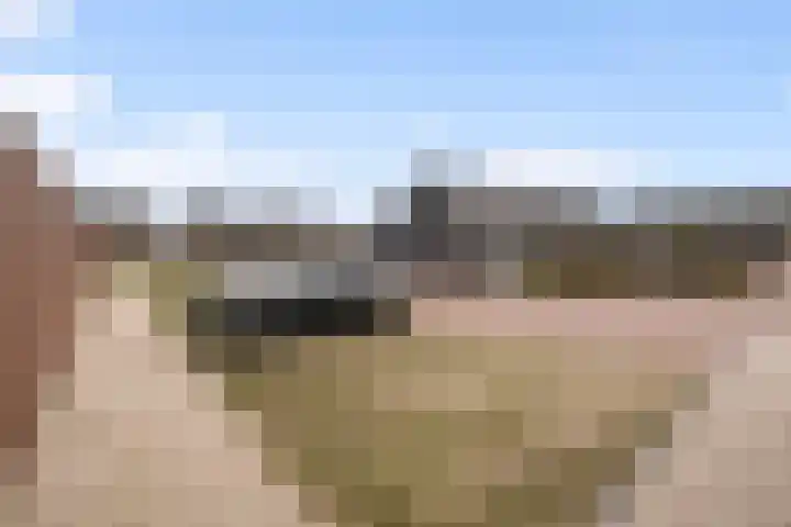 Het Penseel 79 Dronten thumbnail 20