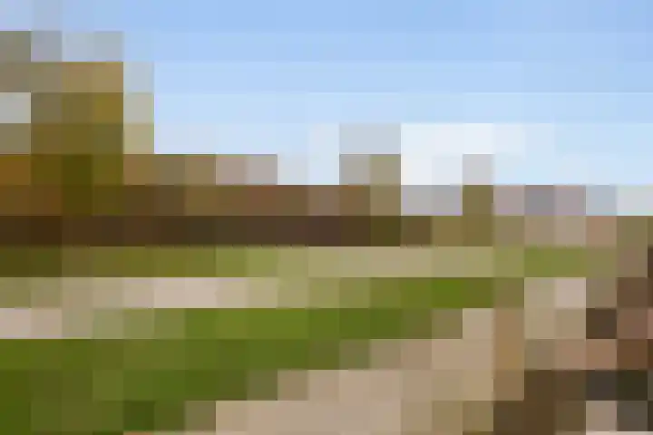 Het Penseel 79 Dronten thumbnail 23