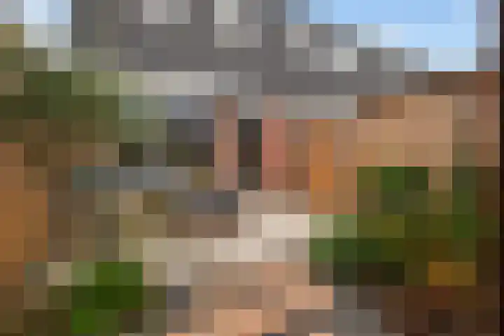 Het Penseel 79 Dronten thumbnail 6