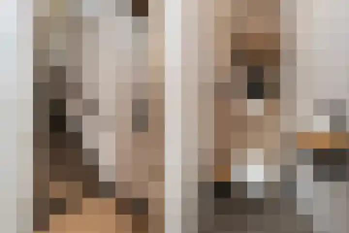 Het Penseel 79 Dronten thumbnail 8