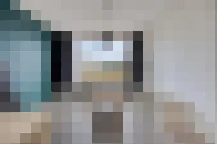 Het Perk 44 Oosterhout thumbnail 10
