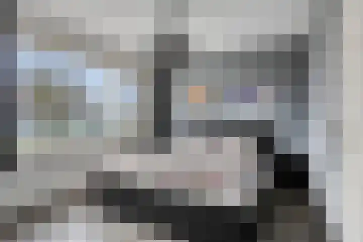 Het Perk 44 Oosterhout thumbnail 4