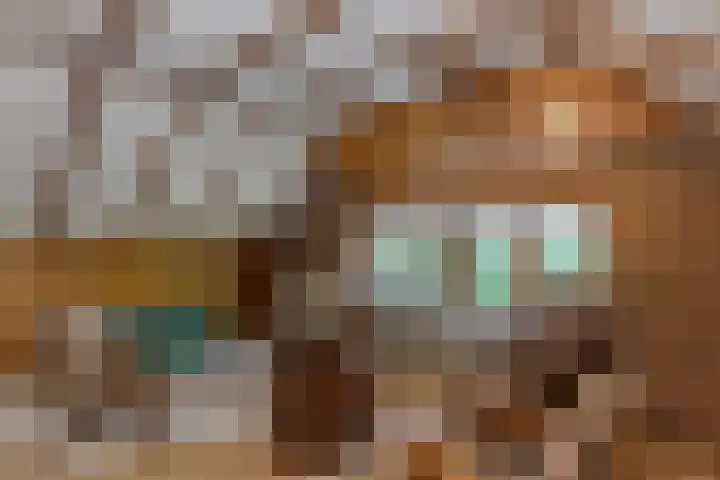 Het Pompje 13 Lieren thumbnail 12
