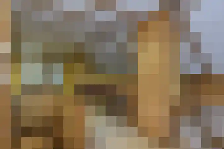 Het Pompje 13 Lieren thumbnail 13