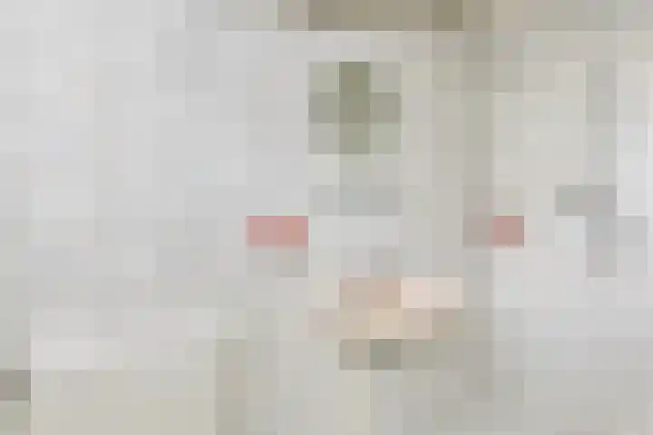 Het Pompje 13 Lieren thumbnail 20