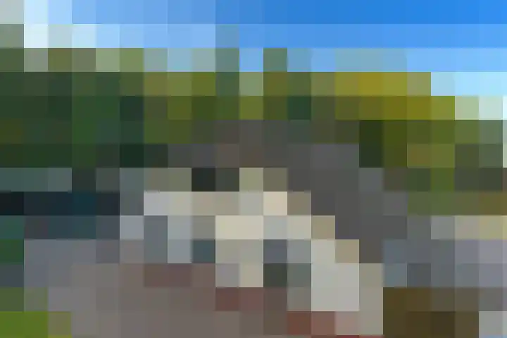 Het Pompje 13 Lieren thumbnail 24