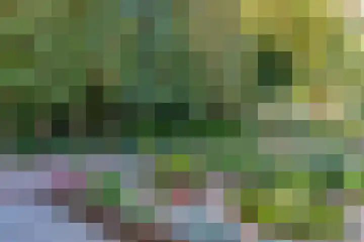 Het Pompje 13 Lieren thumbnail 25