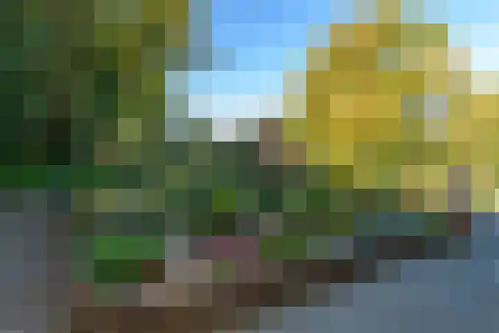 Het Pompje 13 Lieren thumbnail 26