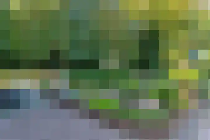 Het Pompje 13 Lieren thumbnail 32