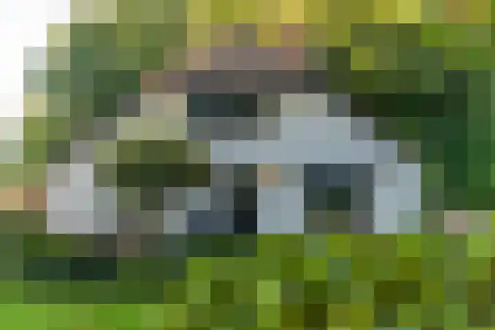 Het Pompje 13 Lieren thumbnail 33