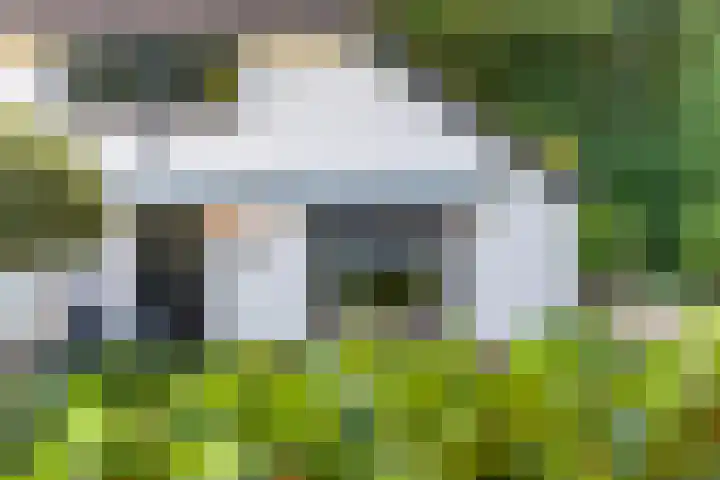 Het Pompje 13 Lieren thumbnail 34