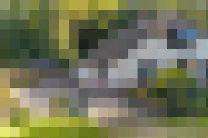 Het Pompje 13 Lieren thumbnail 36