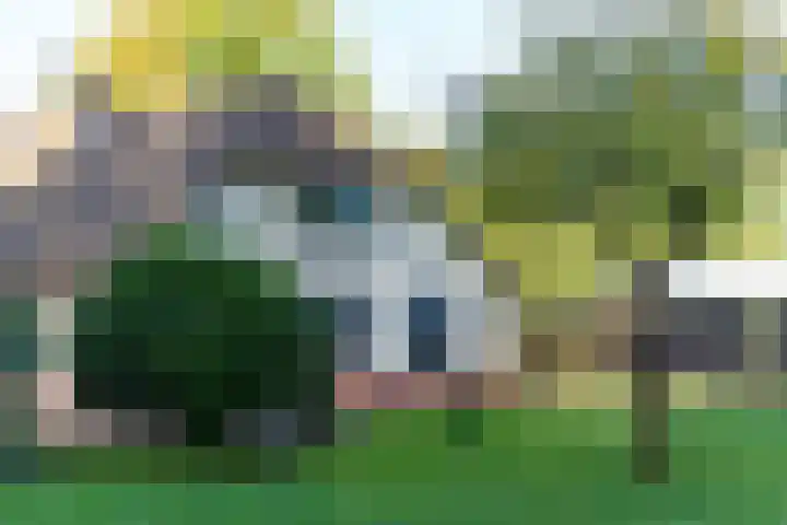 Het Pompje 13 Lieren thumbnail 42