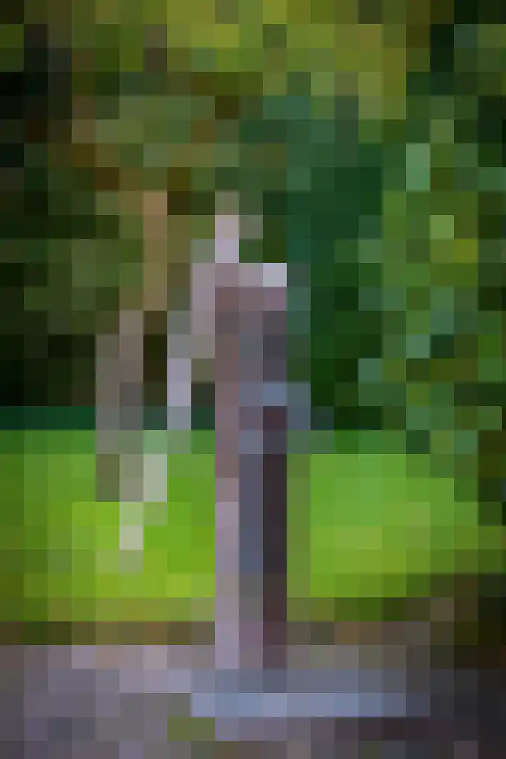 Het Pompje 13 Lieren thumbnail 43