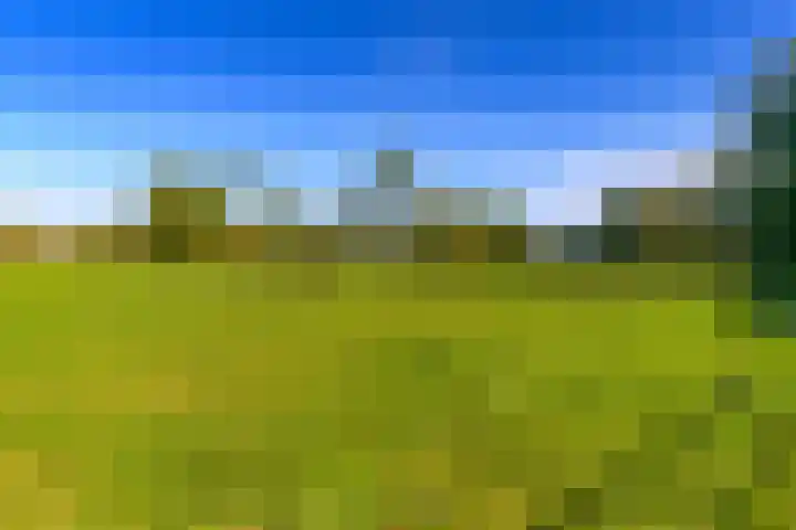 Het Pompje 13 Lieren thumbnail 44