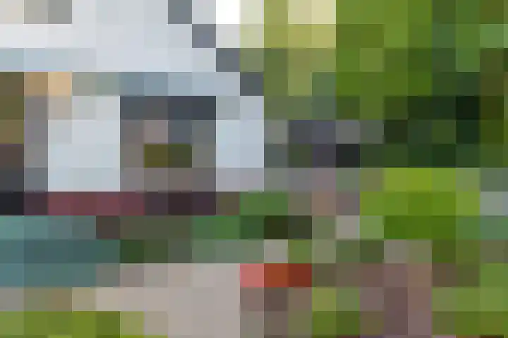 Het Pompje 13 Lieren thumbnail 45