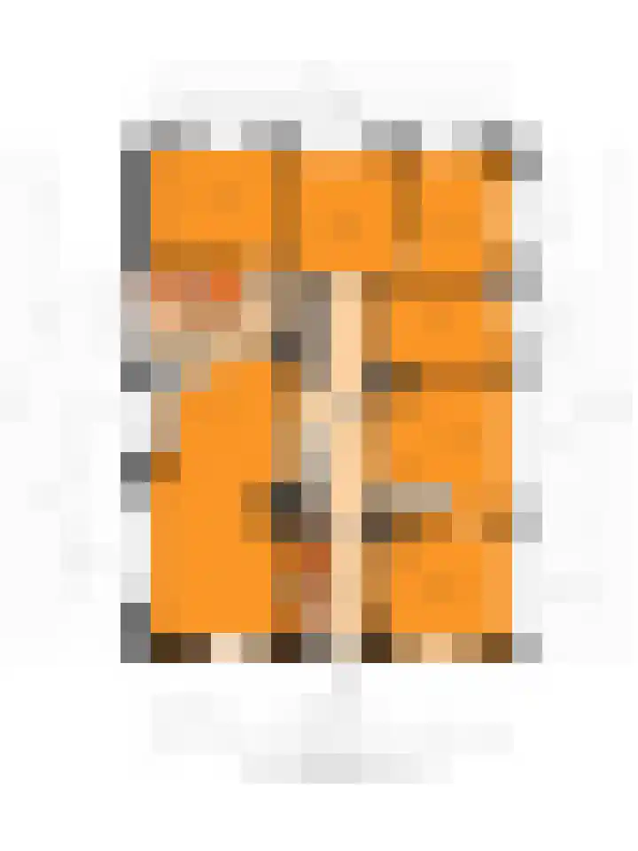 Het Pompje 13 Lieren thumbnail 46