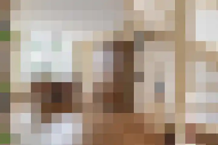 Het Rak 11 Muntendam thumbnail 16