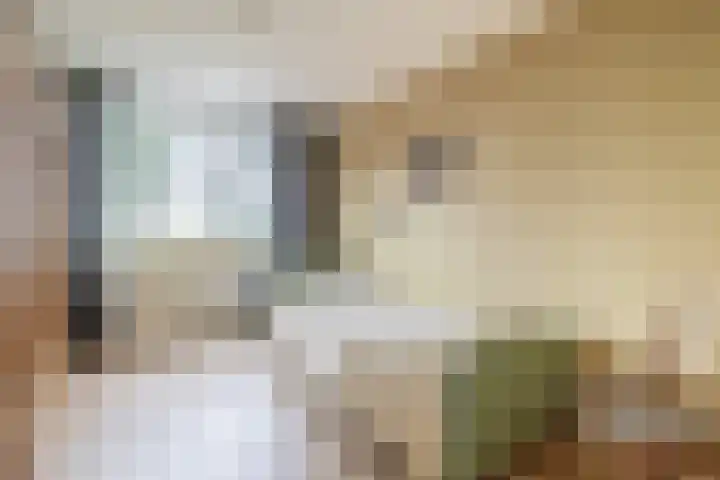 Het Rak 11 Muntendam thumbnail 24