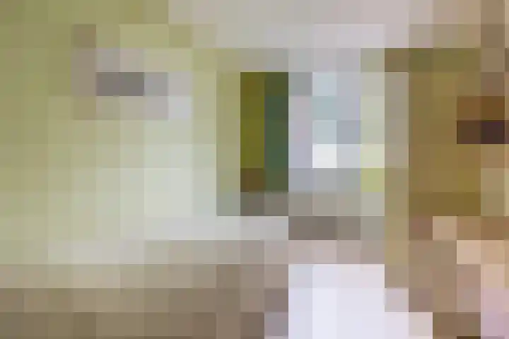 Het Rak 11 Muntendam thumbnail 25