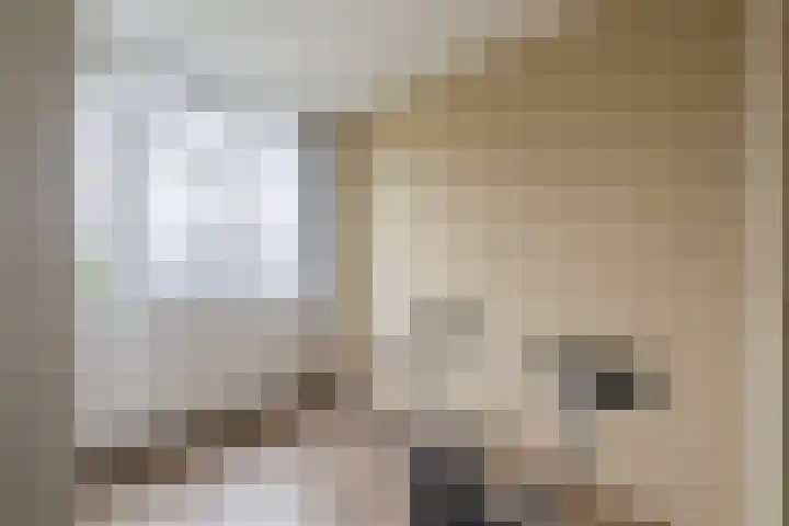 Het Rak 11 Muntendam thumbnail 27
