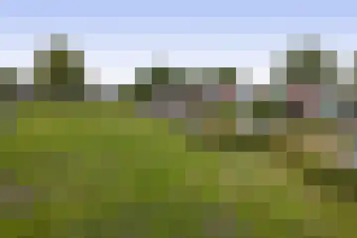 Het Rak 11 Muntendam foto 3